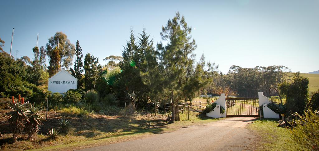 Villa Kweekkraal Guest Farm à Riversdale Extérieur photo