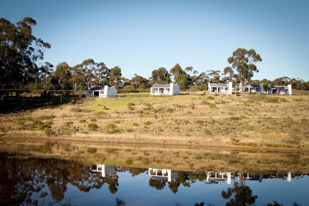 Villa Kweekkraal Guest Farm à Riversdale Extérieur photo